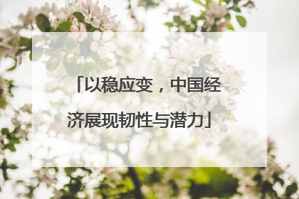 以稳应变，中国经济展现韧性与潜力