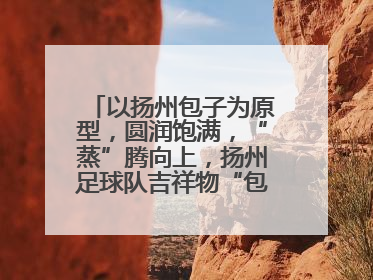 以扬州包子为原型，圆润饱满，“蒸”腾向上，扬州足球队吉祥物“包赢”亮相即售罄