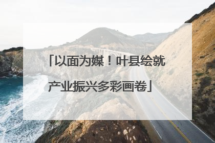 以面为媒！叶县绘就产业振兴多彩画卷