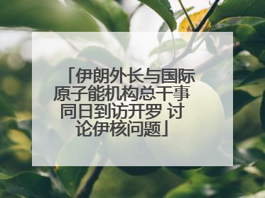 伊朗外长与国际原子能机构总干事同日到访开罗 讨论伊核问题