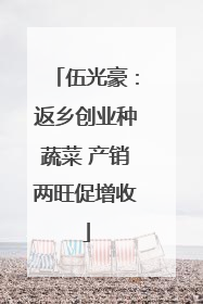 伍光豪：返乡创业种蔬菜 产销两旺促增收