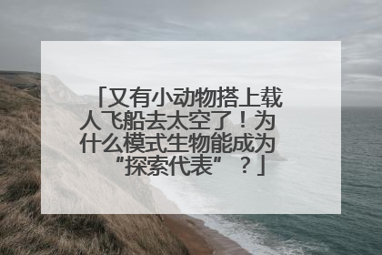 又有小动物搭上载人飞船去太空了！为什么模式生物能成为“探索代表”？