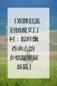 双牌县泷泊镇观文口村：粽叶飘香承古韵 乡情凝聚展新篇