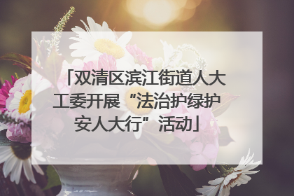 双清区滨江街道人大工委开展“法治护绿护安人大行”活动