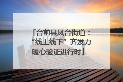 台前县凤台街道：“线上线下”齐发力 暖心验证进行时
