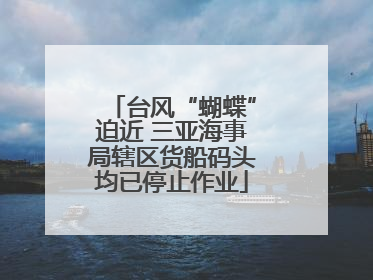 台风“蝴蝶”迫近 三亚海事局辖区货船码头均已停止作业