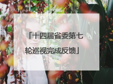 十四届省委第七轮巡视完成反馈
