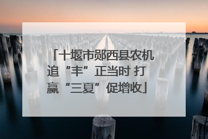 十堰市郧西县农机追“丰”正当时 打赢“三夏”促增收