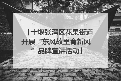 十堰张湾区花果街道开展“东风故里育新风”品牌宣讲活动