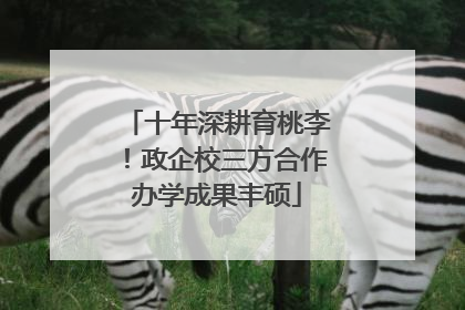 十年深耕育桃李！政企校三方合作办学成果丰硕