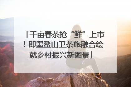 千亩春茶抢“鲜”上市！即墨鳌山卫茶旅融合绘就乡村振兴新图景
