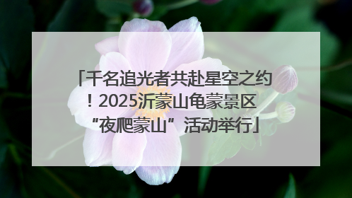 千名追光者共赴星空之约！2025沂蒙山龟蒙景区“夜爬蒙山”活动举行