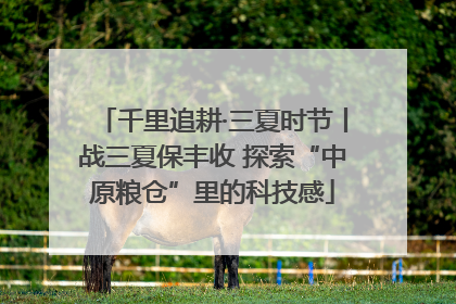 千里追耕·三夏时节丨战三夏保丰收 探索“中原粮仓”里的科技感