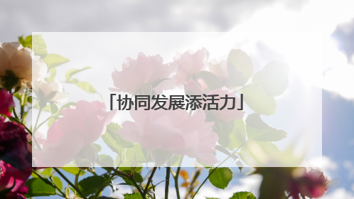 协同发展添活力