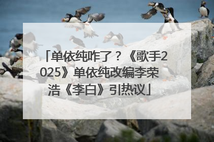 单依纯咋了？《歌手2025》单依纯改编李荣浩《李白》引热议