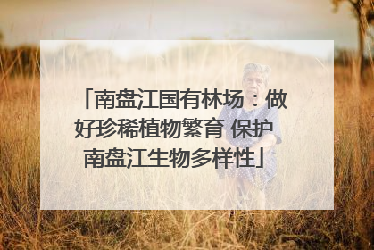 南盘江国有林场：做好珍稀植物繁育 保护南盘江生物多样性