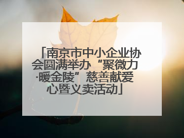 南京市中小企业协会圆满举办“聚微力·暖金陵”慈善献爱心暨义卖活动