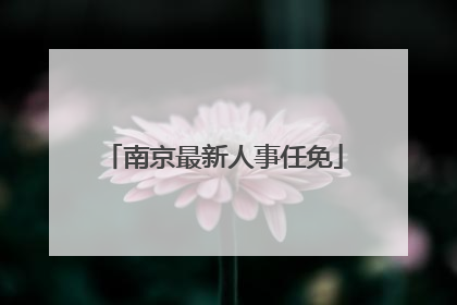 南京最新人事任免