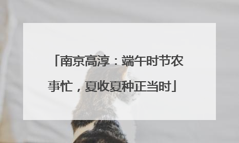 南京高淳：端午时节农事忙，夏收夏种正当时