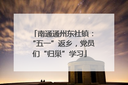 南通通州东社镇：“五一”返乡，党员们“归巢”学习