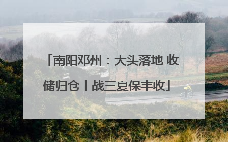 南阳邓州：大头落地 收储归仓丨战三夏保丰收