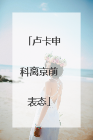 卢卡申科离京前表态