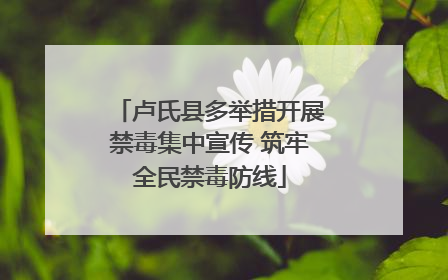 卢氏县多举措开展禁毒集中宣传 筑牢全民禁毒防线