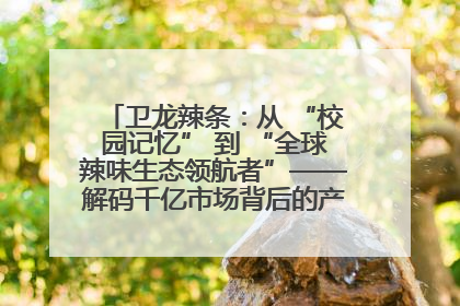卫龙辣条：从 “校园记忆” 到 “全球辣味生态领航者”——解码千亿市场背后的产品创新与全链路破圈