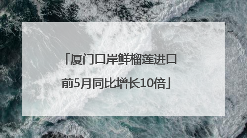 厦门口岸鲜榴莲进口 前5月同比增长10倍