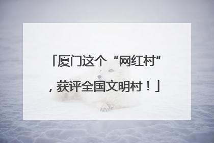 厦门这个“网红村”，获评全国文明村！