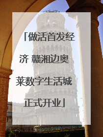 做活首发经济 赣湘边奥莱数字生活城正式开业