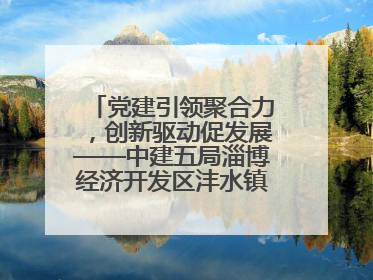 党建引领聚合力，创新驱动促发展——中建五局淄博经济开发区沣水镇高西村安置项目建设纪实