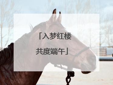 入梦红楼 共度端午