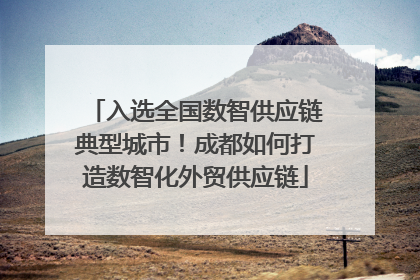 入选全国数智供应链典型城市！成都如何打造数智化外贸供应链