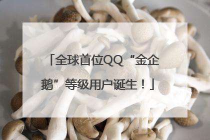 全球首位QQ“金企鹅”等级用户诞生！