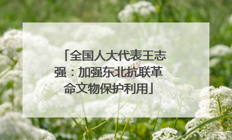 全国人大代表王志强：加强东北抗联革命文物保护利用