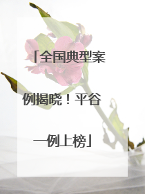 全国典型案例揭晓！平谷一例上榜