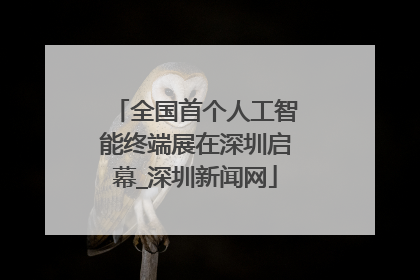 全国首个人工智能终端展在深圳启幕_深圳新闻网