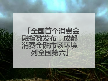 全国首个消费金融指数发布，成都消费金融市场环境列全国第六
