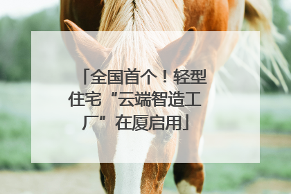 全国首个！轻型住宅“云端智造工厂”在厦启用