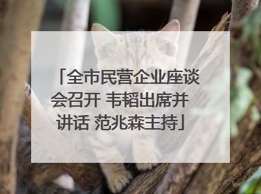 全市民营企业座谈会召开 韦韬出席并讲话 范兆森主持