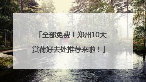全部免费！郑州10大赏荷好去处推荐来啦！