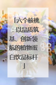 六个核桃：以品质筑基、创新领航的植物蛋白饮品标杆