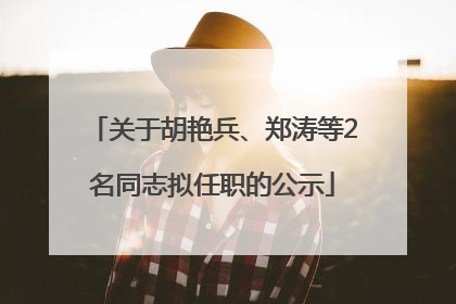 关于胡艳兵、郑涛等2名同志拟任职的公示