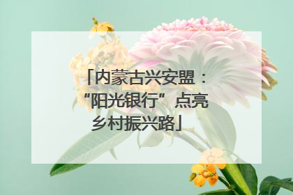 内蒙古兴安盟：“阳光银行”点亮乡村振兴路