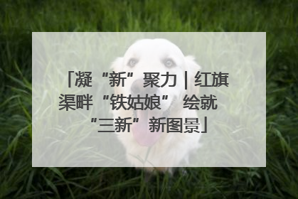 凝“新”聚力｜红旗渠畔“铁姑娘” 绘就“三新”新图景