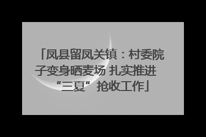 凤县留凤关镇：村委院子变身晒麦场 扎实推进“三夏”抢收工作