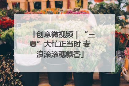 创意微视频｜“三夏”大忙正当时 麦浪滚滚穗飘香