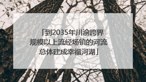 到2035年川渝跨界规模以上流经场镇的河流总体建成幸福河湖