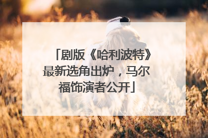 剧版《哈利波特》最新选角出炉，马尔福饰演者公开